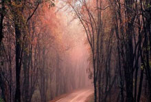 超级联赛高潮迭起,球员们迎来激烈对抗