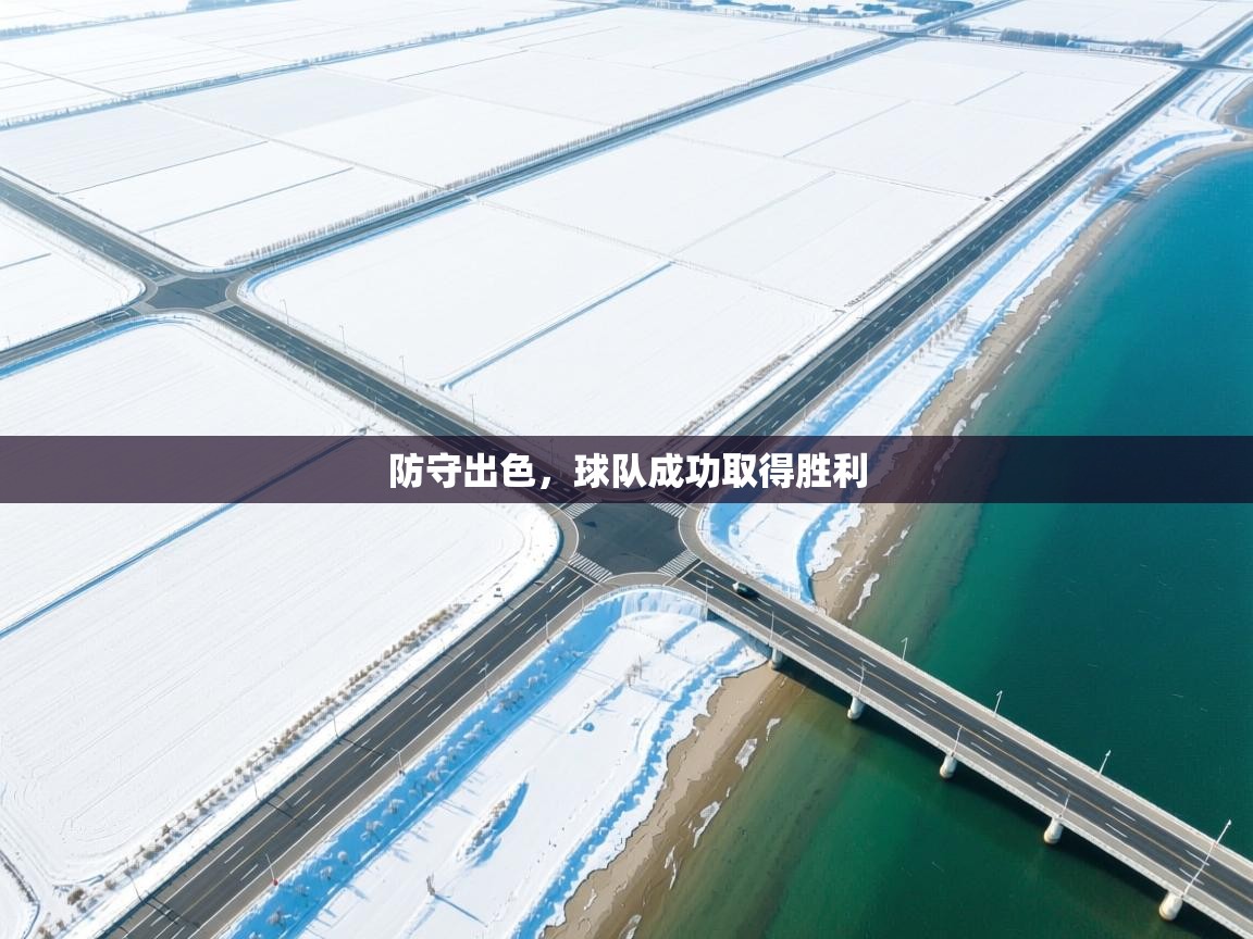 防守出色,球队成功取得胜利 第1张