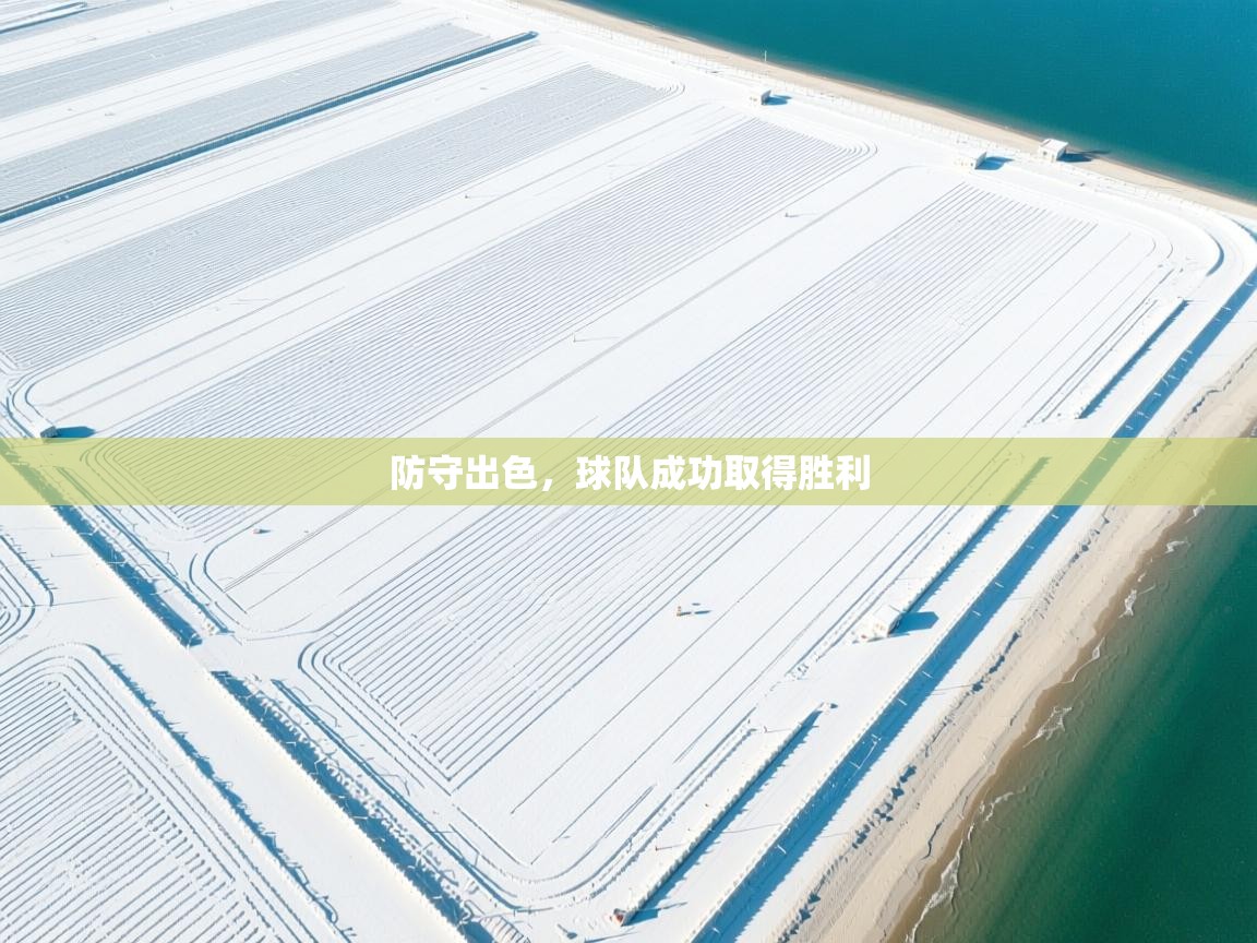 防守出色,球队成功取得胜利 第2张